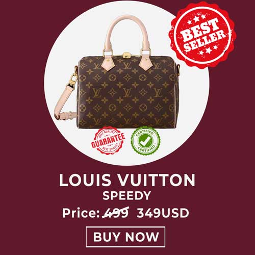 Louis Vuitton Speedy – Replicaz Shop LLC©️